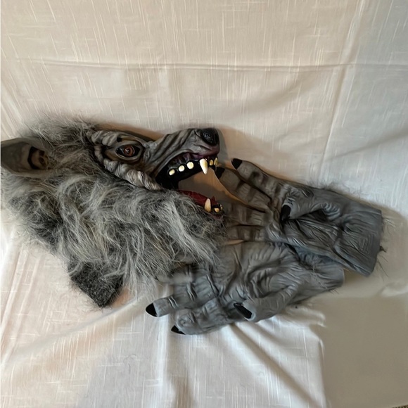 Wolf mask and gloves - Picture 3 of 4